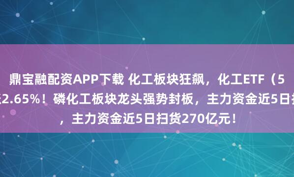 鼎宝融配资APP下载 化工板块狂飙，化工ETF（516020）大涨2.65%！磷化工板块龙头强势封板，主力资金近5日扫货270亿元！