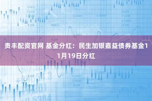 责丰配资官网 基金分红：民生加银嘉益债券基金11月19日分红
