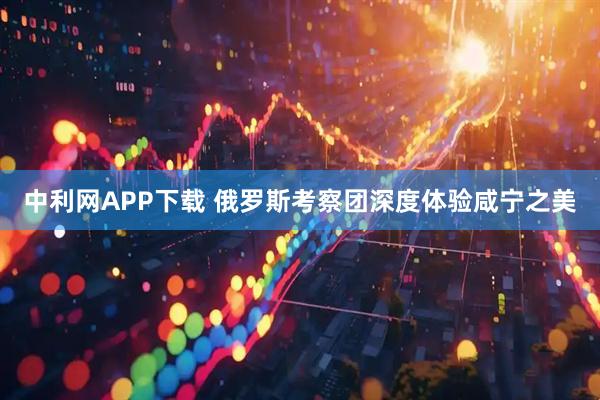 中利网APP下载 俄罗斯考察团深度体验咸宁之美