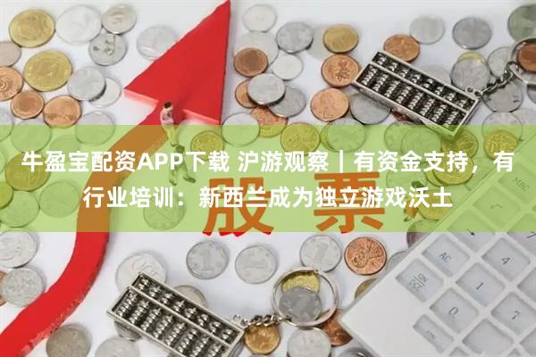 牛盈宝配资APP下载 沪游观察｜有资金支持，有行业培训：新西兰成为独立游戏沃土