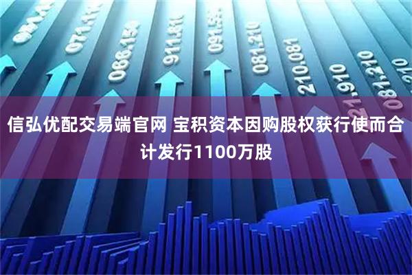 信弘优配交易端官网 宝积资本因购股权获行使而合计发行1100万股